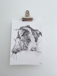 Black & White Pet Pawtraits