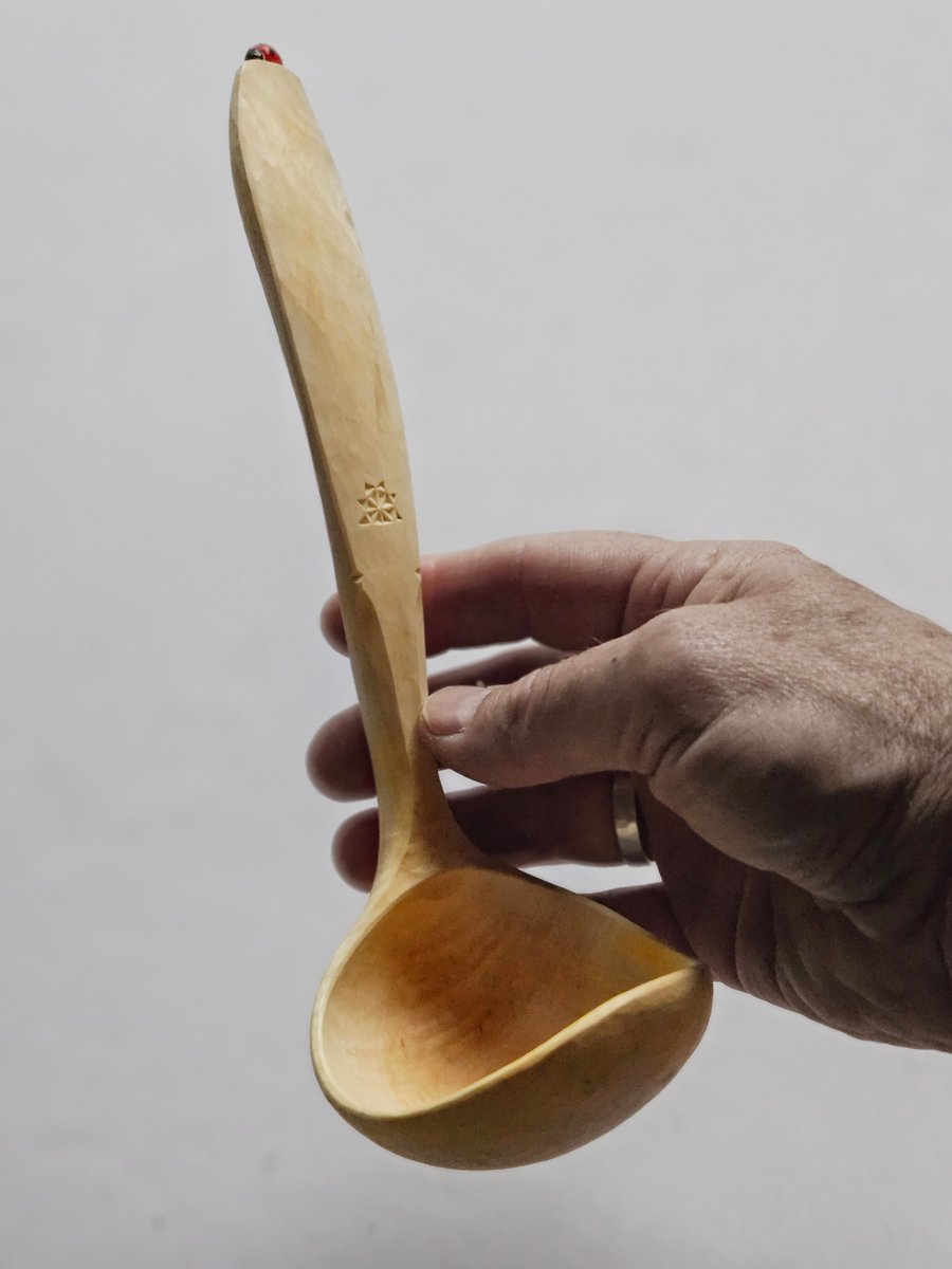 Image of Pear Wood Ladybeetle Ladle