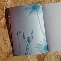 Image 3 of How Green I Remember