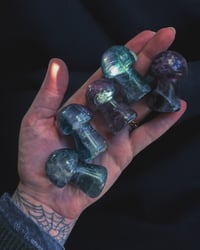 Image 2 of Fluorite mushrooms 