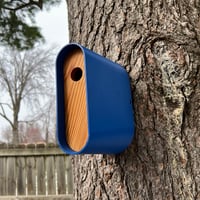 Image 4 of Casa para Aves in Blue