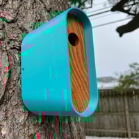 Image 1 of Casa para Aves in Teal