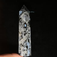 Image 2 of Larvikite Tower