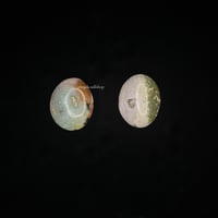 Image 1 of Ocean Jasper Palm Stone