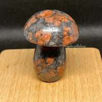 Image 1 of Red Spectrolite Mushroom
