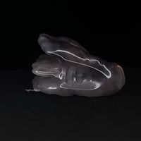 Image 6 of Dragon Head- Agate Craving "H"