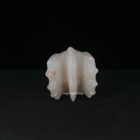 Image 5 of Dragon Head- Agate Carving "C"