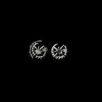 Image 3 of S925 Labradorite Crescent moon and star earrings