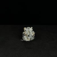 Image 11 of Mini Nine (9) Tailed Fox Carving