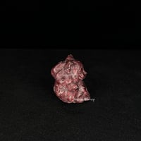 Image 18 of Mini Nine (9) Tailed Fox Carving
