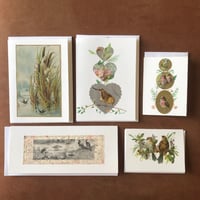 5 Lovely Greeting Cards Collaged Antique Victorian Paper Birds