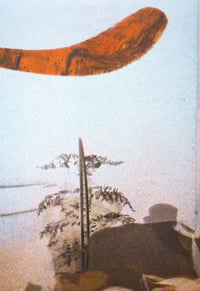 Image 2 of Plants and Ships A4 Risograph Print