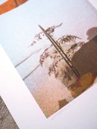 Image 4 of Plants and Ships A4 Risograph Print