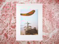 Image 1 of Plants and Ships A4 Risograph Print