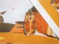 Image 3 of The Air Between Us A4 Risograph Print