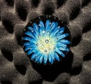 Image 1 of Blue Air Trap Marble