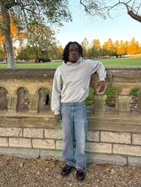 Image 2 of 1OF1 DEMIN HERITAGE 32W,32L