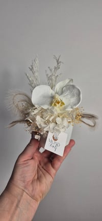 Image 2 of Preserved Flower Hydrangea Pots