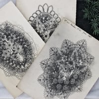 Image 1 of ONE Original Antique French Memorial Wreath Print Lot 2