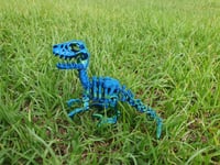 Image 3 of Skeleton Raptor 