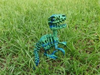 Image 4 of Skeleton Raptor 