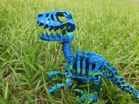Image 5 of Skeleton Raptor 