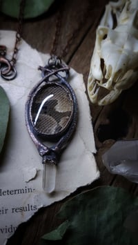 Image 2 of Ball Python Skin and Bone Amulet