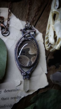 Image 1 of Ball Python Skin and Bone Amulet