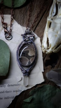 Image 4 of Ball Python Skin and Bone Amulet