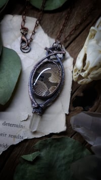 Image 5 of Ball Python Skin and Bone Amulet