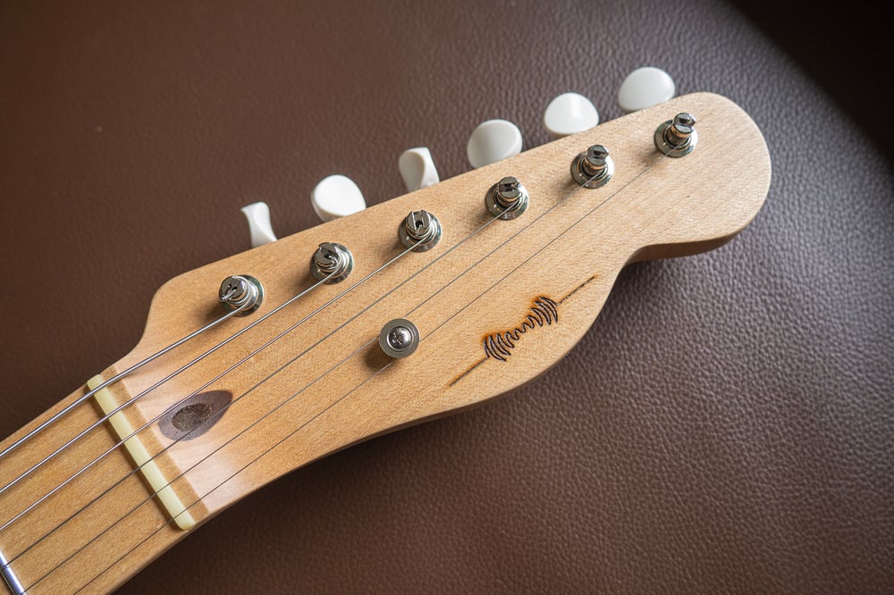 Archtop Thinline TL Shell Pink