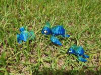 Image 8 of Mumma and Baby Turtles
