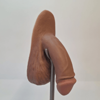 Image 3 of Original Packer - Circumcised 