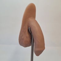 Image 2 of Original Packer - Uncircumcised 