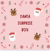 Santa surprise box