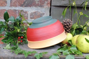 Image of field maple bowl I - bol en érable champêtre I