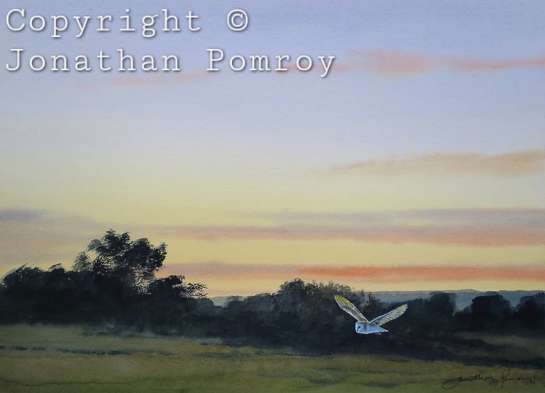 Image of NEW Barn owl on a June evening 