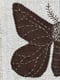 Image of AVELAÍÑA - WALL ART