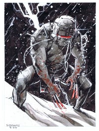 Weapon X