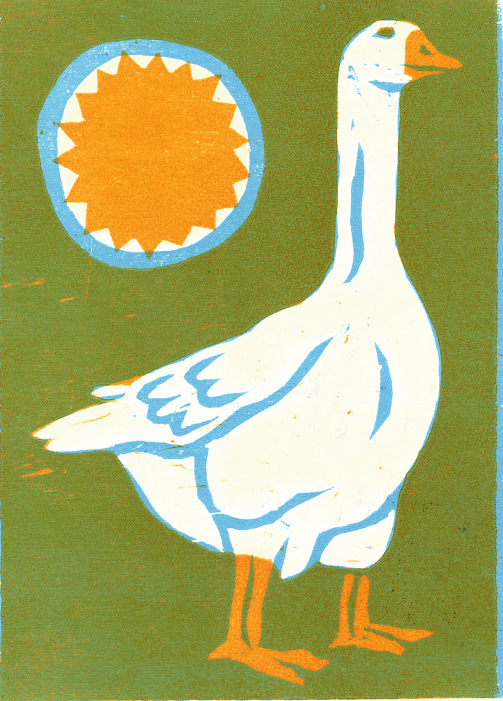 Image of Goose