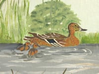 Image 4 of Vintage Oil Painting, Duck and Ducklings Swimming by M. Edmond c. 1980s, Framed Size 13 x 11 ins 