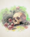 Nature Morte