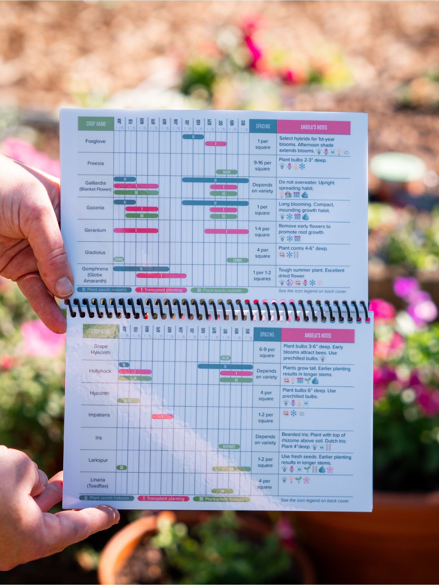 Flower Planting Guide | Growing in the Garden