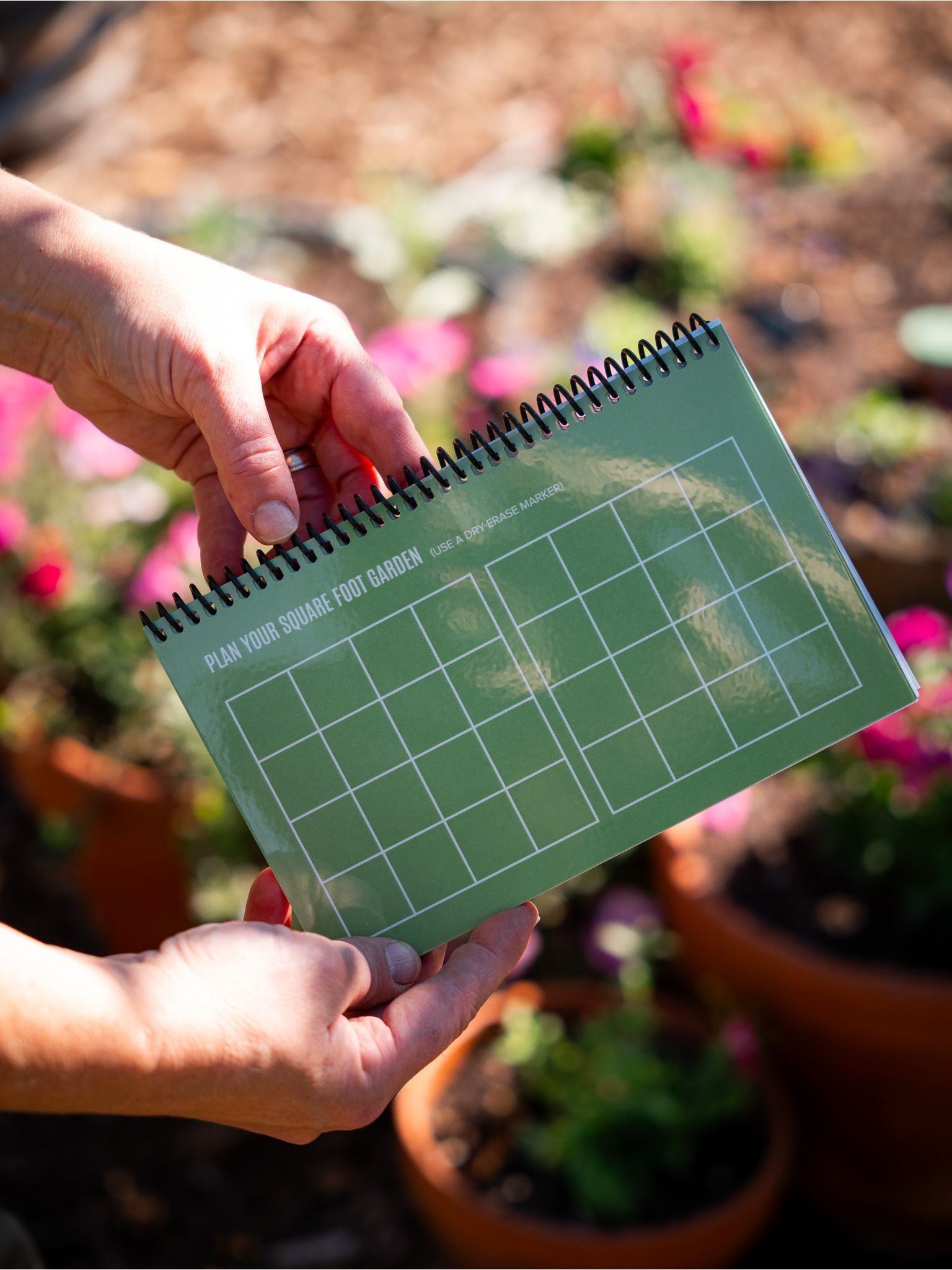 Flower Planting Guide | Growing in the Garden
