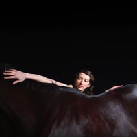Workhorse - LP