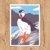 Papageientaucher (Puffin) - Siebdruck