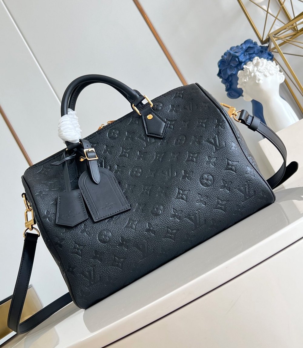 LV Speedy Soft Handbag