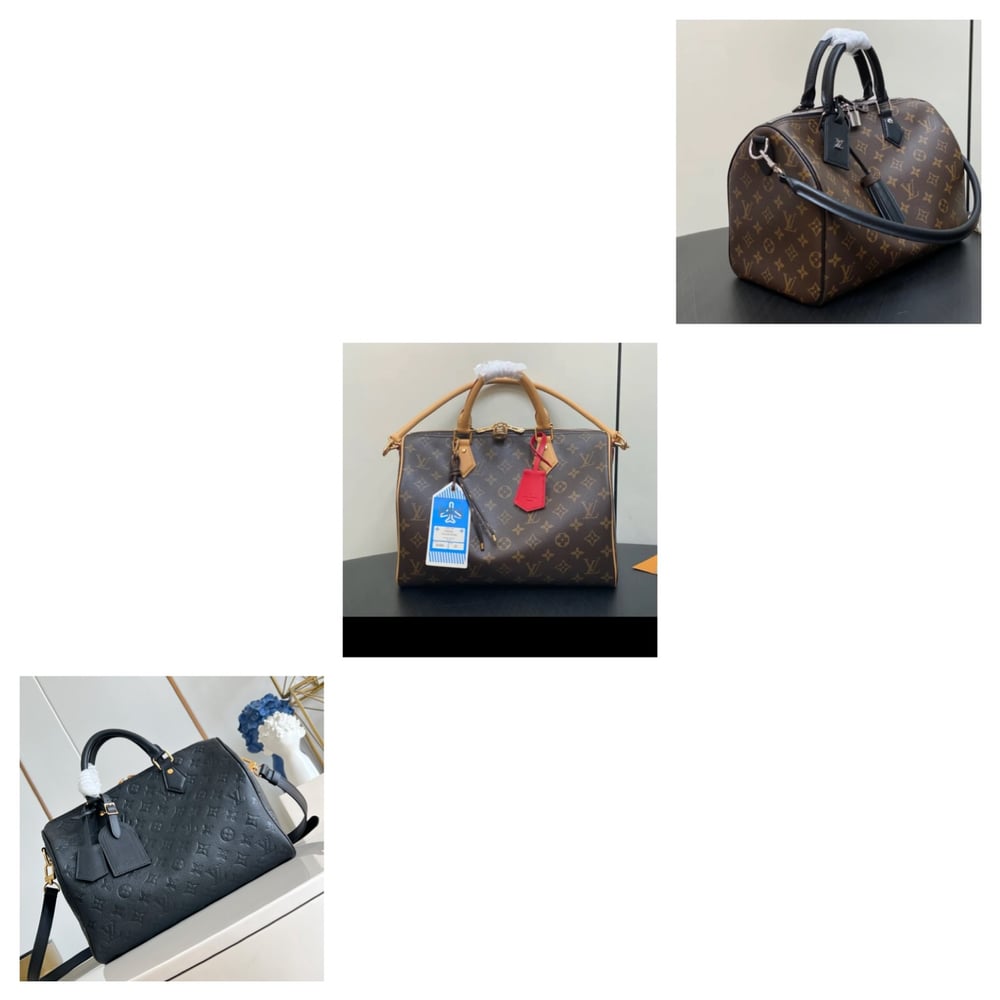 LV Speedy Soft Handbag