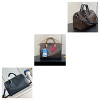 Image 1 of LV Speedy Soft Handbag