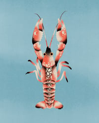 Image 1 of Crawfish